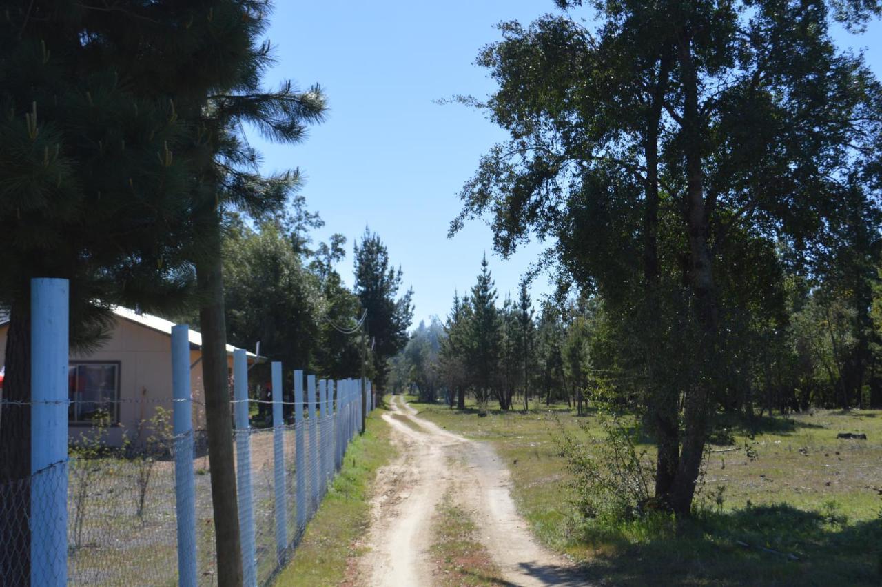 Coyunche Cabañas y Camping Laja&San Rosendo Exterior foto