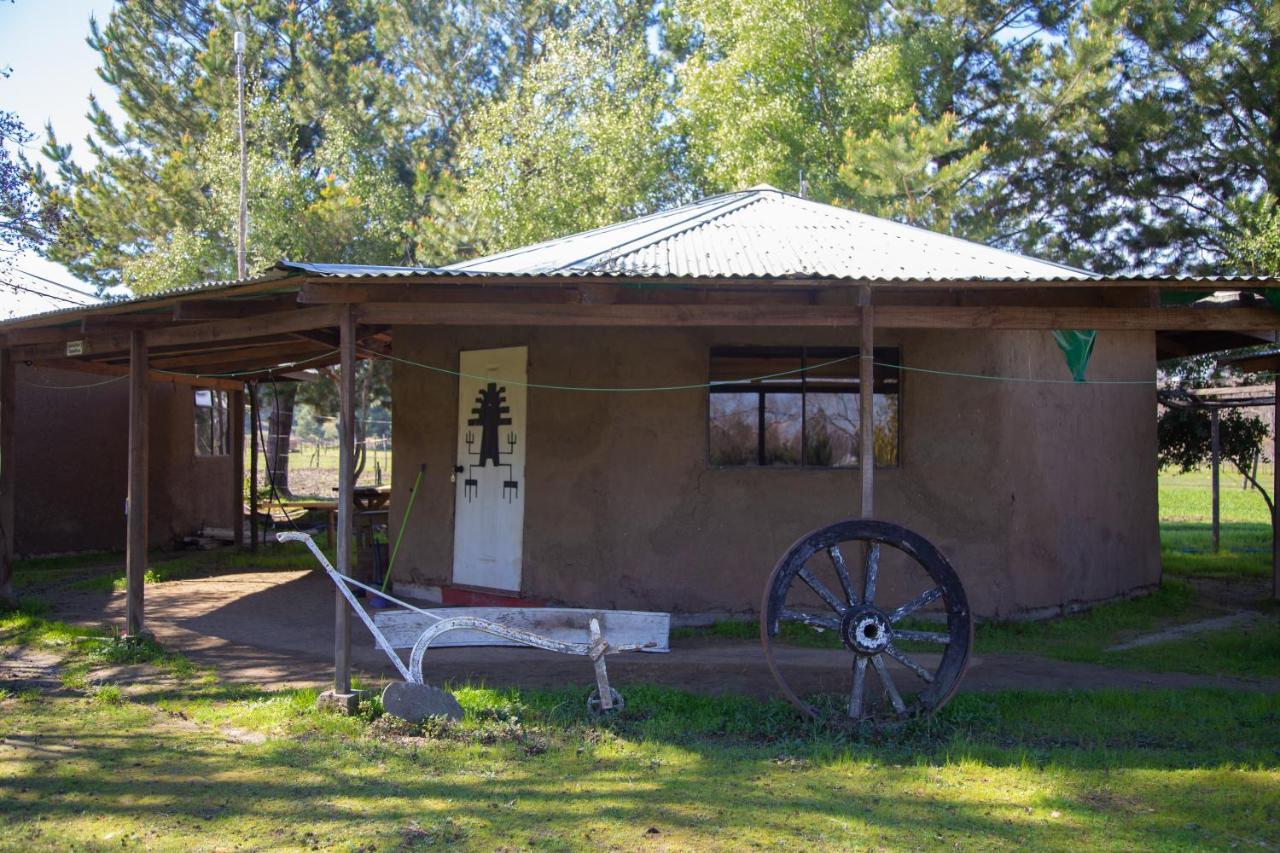 Coyunche Cabañas y Camping Laja&San Rosendo Exterior foto